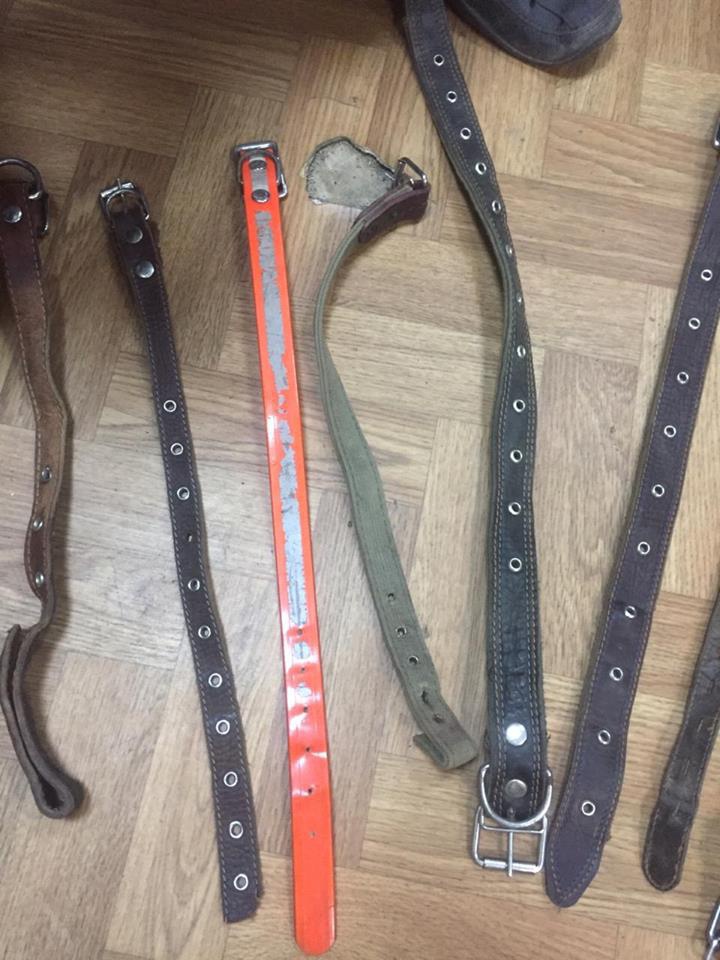 Под Москвой раскрыта банда корейцев, воровавших породистых собак и продавали их в рестораны Под Москвой раскрыта банда корейцев, воровавших породистых собак и продавали их в рестораны истории из жизни