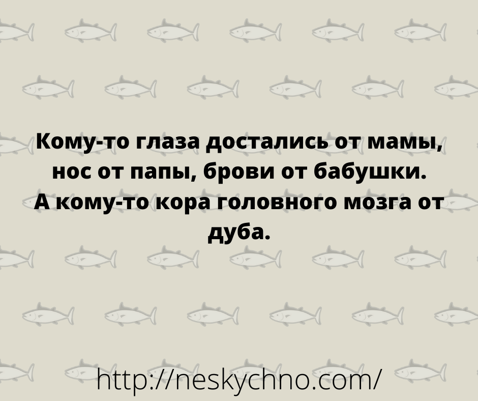 Смешные картинки на злобу дня с надписями