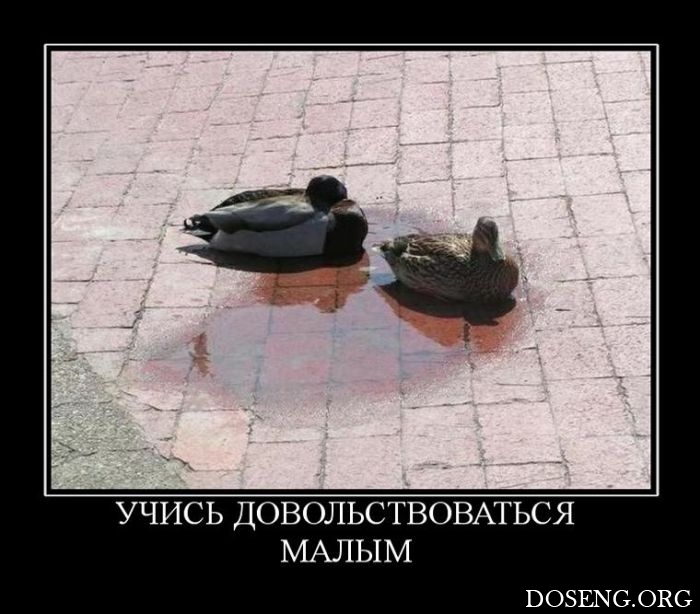 Демотиваторы