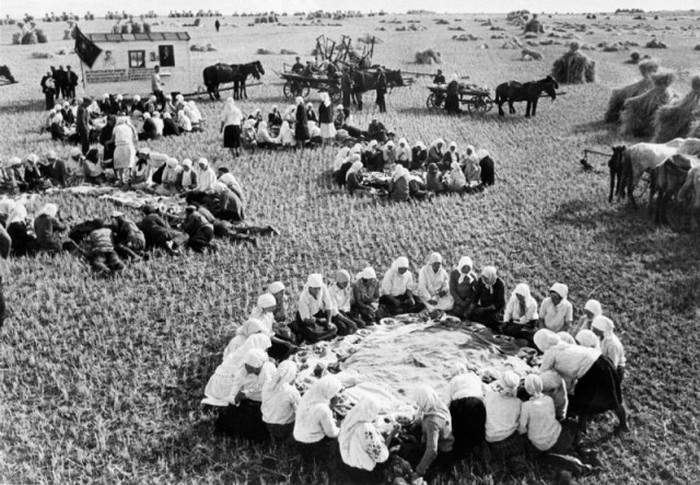  Обед во время сбора урожая. Киевская область, Село Вильшанка, 1936 год. 