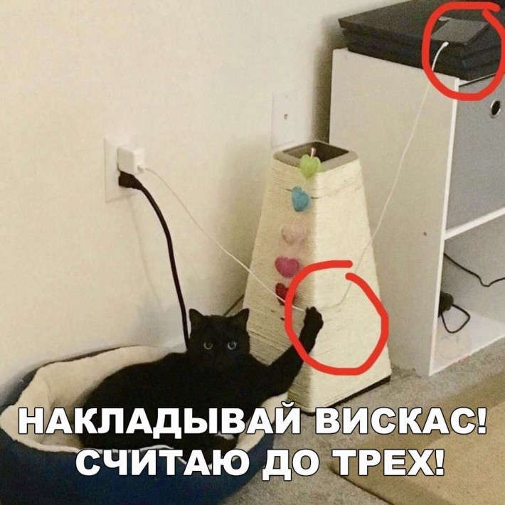 Давайте улыбаться вместе! :) 20170325