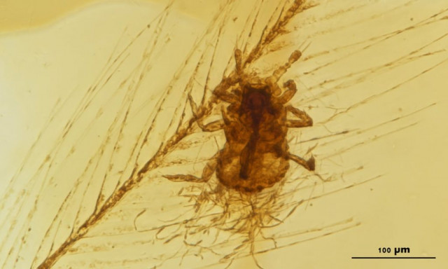 Факты, которые изменят ваше представление о динозаврах Факты, которые изменят ваше представление о динозаврах динозавры,факты