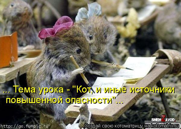 Мысли вслух :)