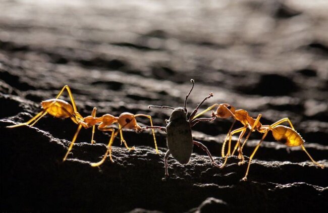 Клянутся, что без фотошопа Клянутся, что без фотошопа фотография