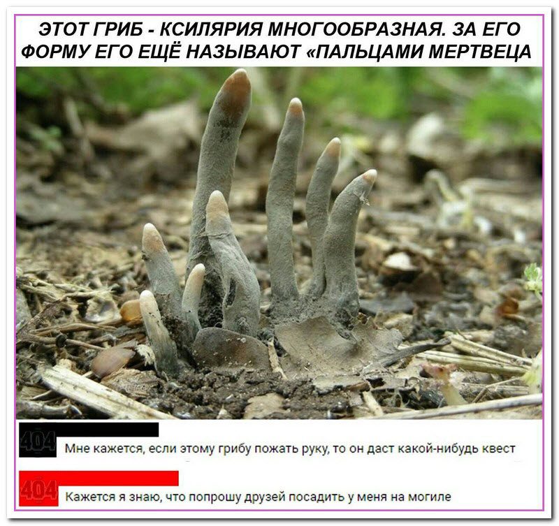 По статистике около 85% женщин имитируют достижение компромисса анекдоты,веселье,демотиваторы,приколы,смех,юмор