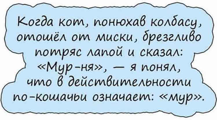 Подборка ну очень смешных анекдотов. Они поднимут вам настроение 