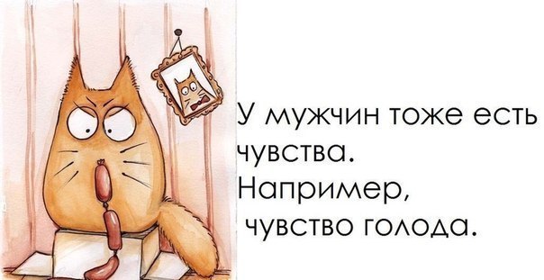 Позитивные картинки с прикольными фразками Позитивные картинки с прикольными фразками