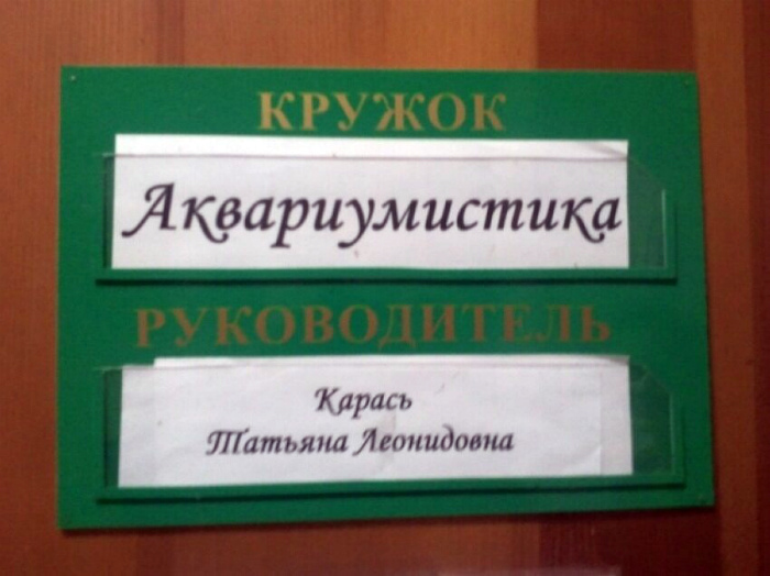 Глупо было бы взять какого-нибудь Иванова, когда среди претендентов была Карась! | Фото: Subscribe.Ru.