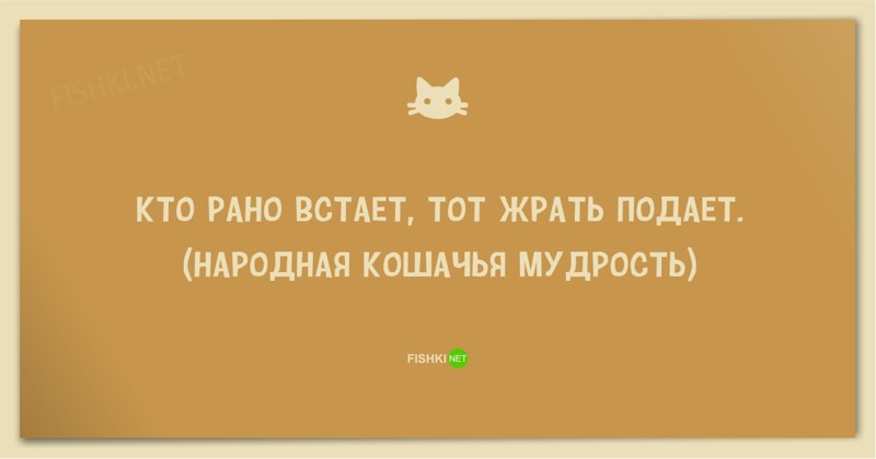 ПРО КОШЕК И КОТОВ анекдоты