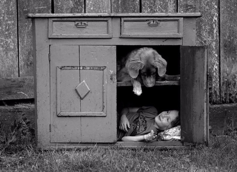 Лови момент или мастерство фотографа Лови момент или мастерство фотографа фотография