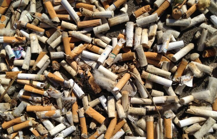 Сигареты выделяют вредные вещества даже после тушения сигареты, веществ, вредных, воздух, выделяют, сигарет, более, веществах, которых, сигаретных, окурки, после, тушения, ученые, триллионов, Например, химических, работы, спустя, окружающей