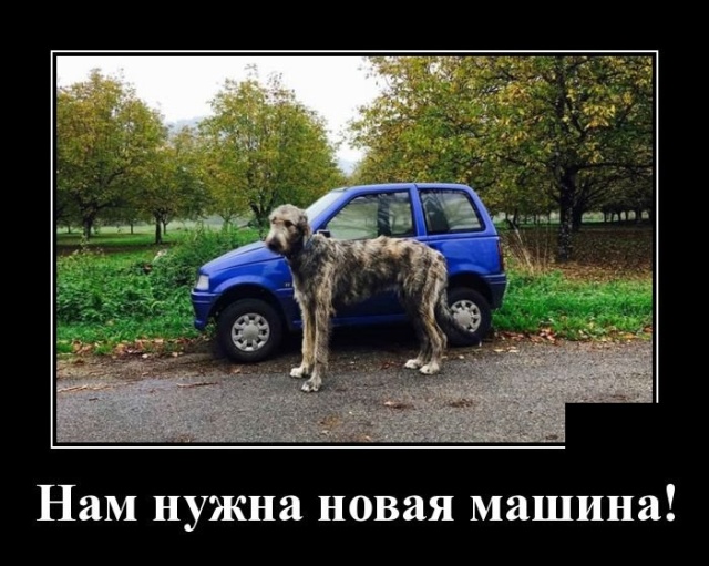 Скоро появится налог «просто так» и штраф «какая разница за что?» Скоро появится налог «просто так» и штраф «какая разница за что?» анекдоты,веселье,демотиваторы,приколы,смех,юмор