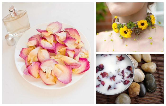 Что можно сделать с цветами. Смотреть фото Что можно сделать с цветами. Смотреть картинку Что можно сделать с цветами. Картинка про Что можно сделать с цветами. Фото Что можно сделать с цветами Что можно сделать с цветами. Смотреть фото Что можно сделать с цветами. Смотреть картинку Что можно сделать с цветами. Картинка про Что можно сделать с цветами. Фото Что можно сделать с цветами