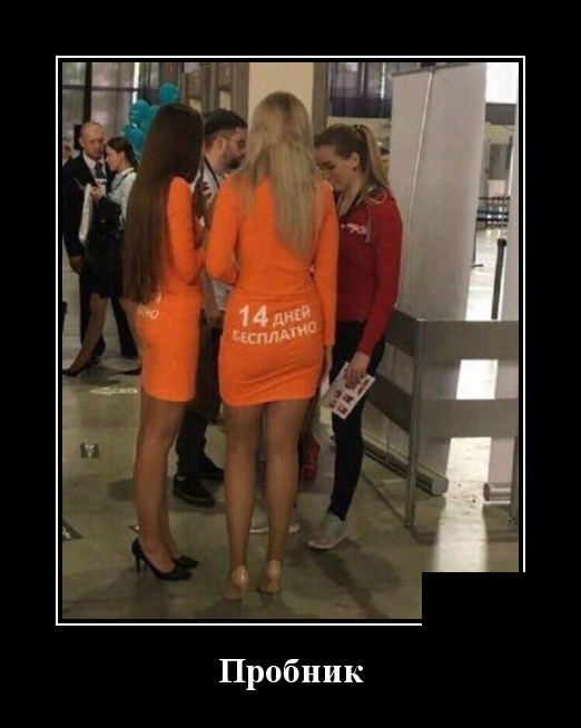 - Что означают пятна на Солнце? - Окна пора мыть! - Что означают пятна на Солнце? - Окна пора мыть! анекдоты,демотиваторы,приколы