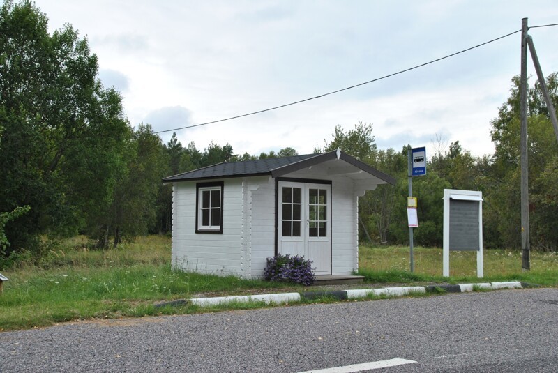 Прогулка по осеннему Хийумаа Прибалтика,тревел-фото,Эстония