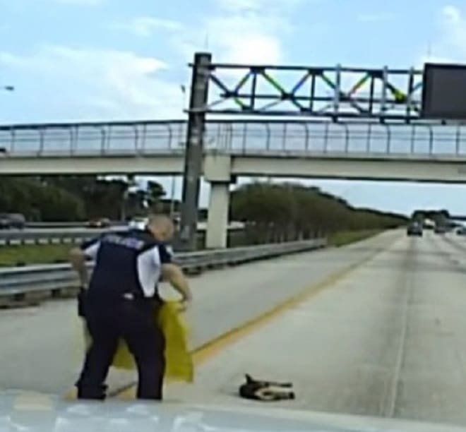 Полицейский идет