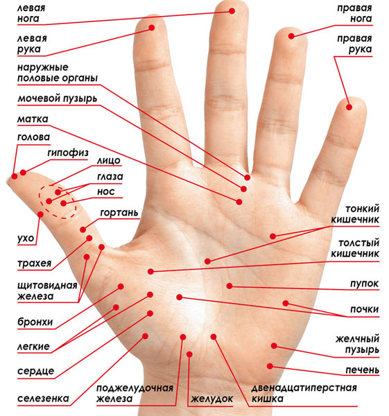 Су-джок терапия: все как на ладони. Сам себе скорая помощь. Су-джок терапия: все как на ладони. Сам себе скорая помощь.
