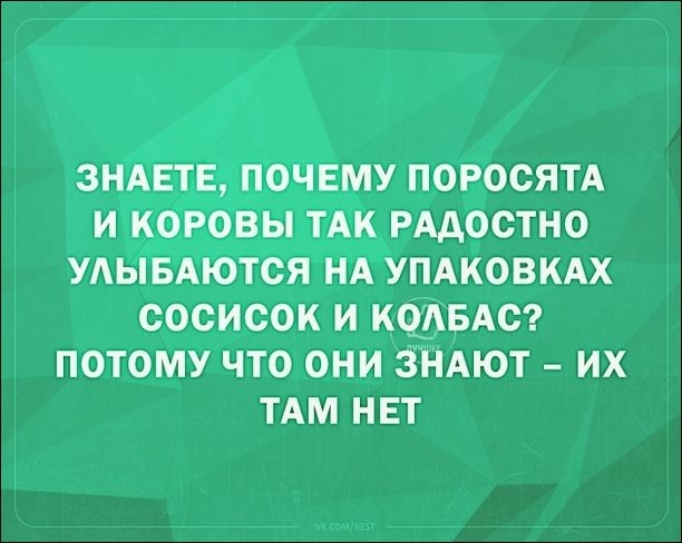 Смешные «Аткрытки» в первый день весны Смешные «Аткрытки» в первый день весны