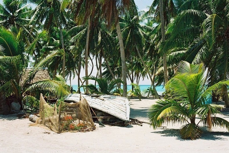Остров Палмерстон — райский остров, где живет одна большая семья
