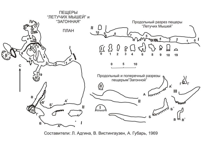 Тавдинская пещера схема. Пещера загонная Алтайский край. План схема пещеры братьев Греве. Пещера летучих мышей Алтайский край. Пещера братьев Греве схема пещеры.