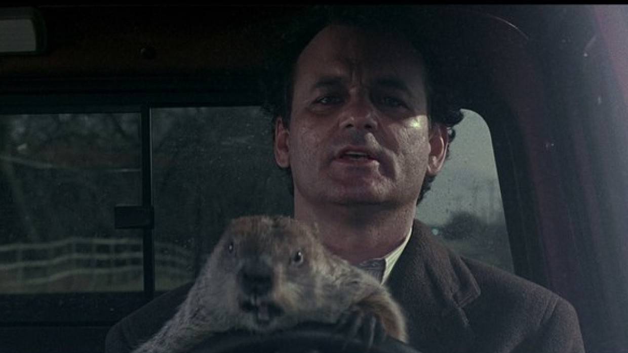 Традиционный для США праздник День сурка отменили в этом году