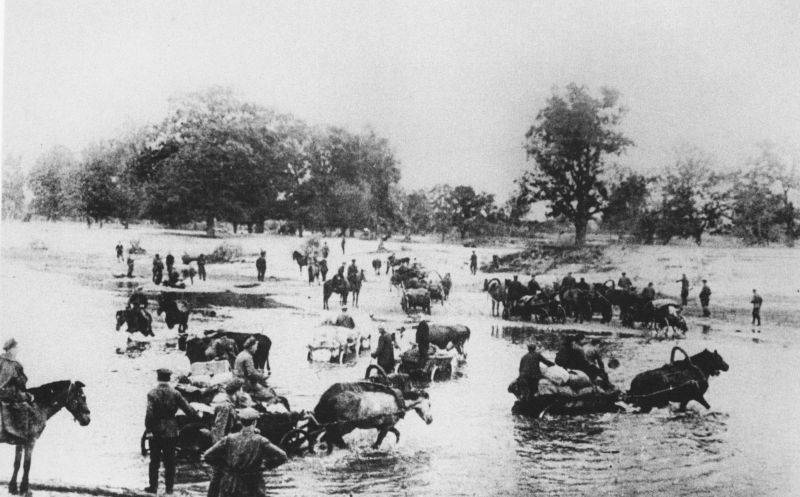 Как партизаны устроили гитлеровцам «Концерт» г,Москва [1405113],история,Ленинградская обл,[749230],Орловская обл,[990952],Смоленская обл,[1231885]