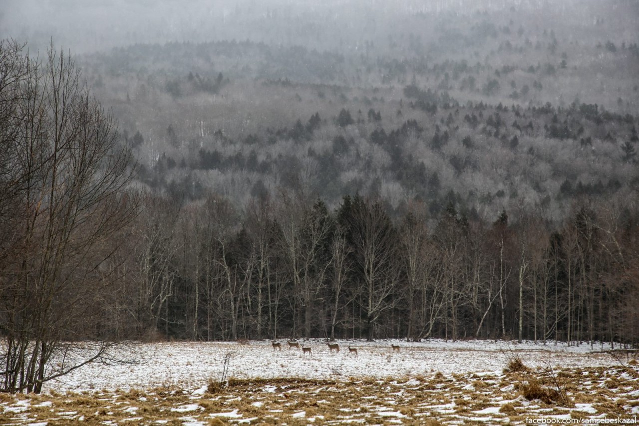 Сравните сами:  как живут простые люди  США ,  в 200 км от Нью-Йорка глубинка