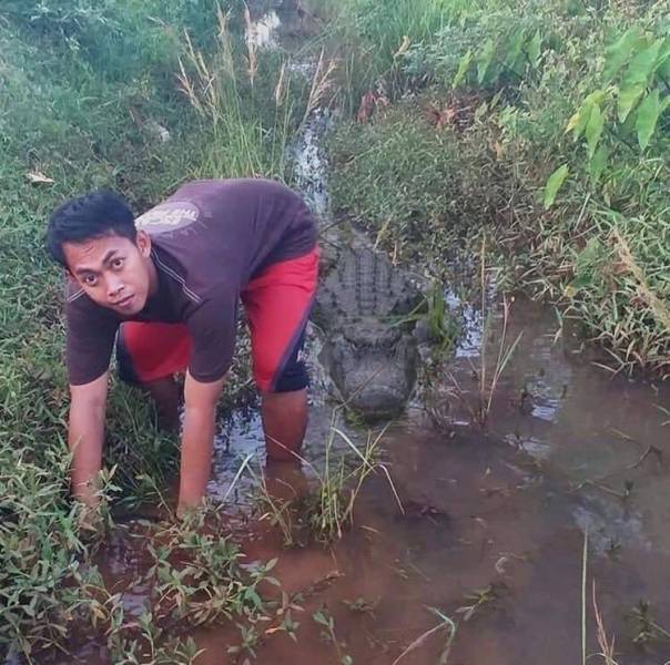 Подборка картинок. Вечерний выпуск  приколы,смешные картинки,юмор