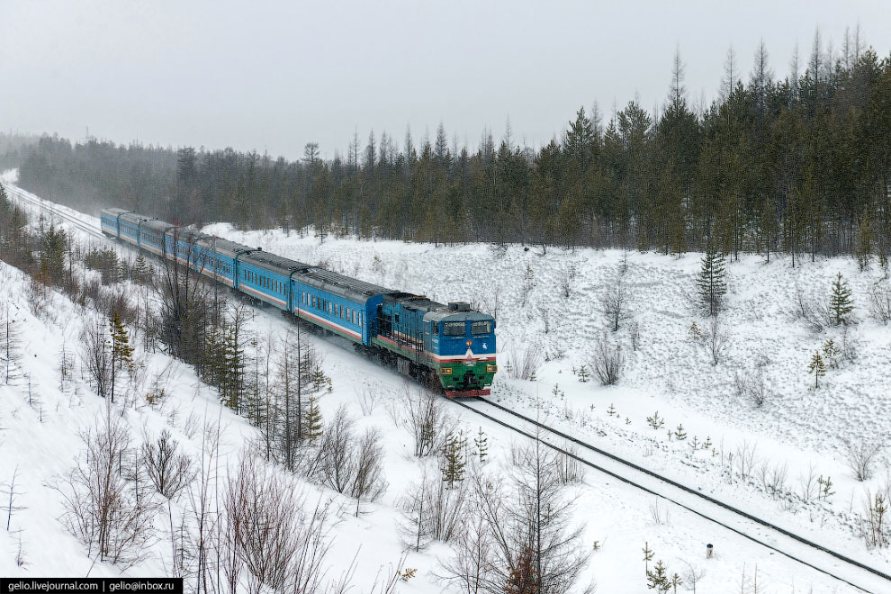 Стрелой горящей поезд режет темноту: железные дороги Якутии железные дороги,зима,Якутия