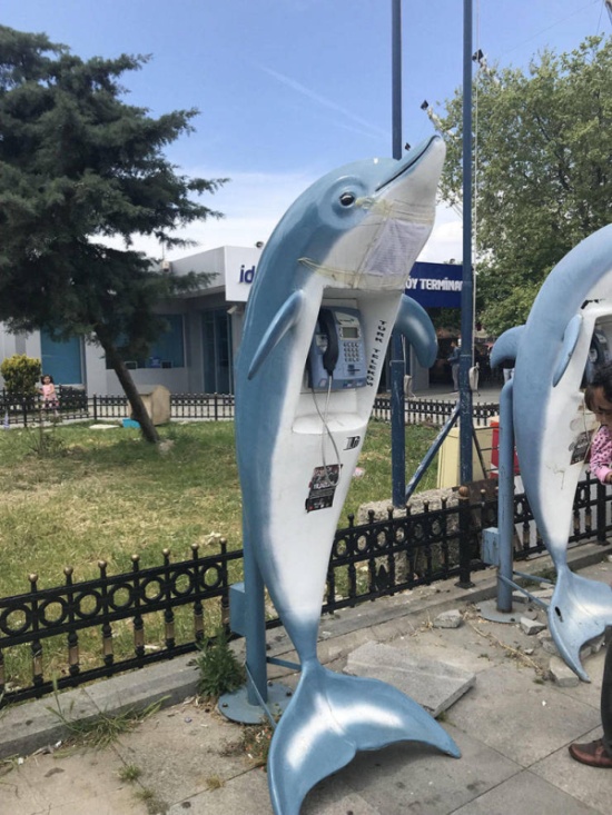 Подборка прикольных картинок Подборка прикольных картинок смешные картинки