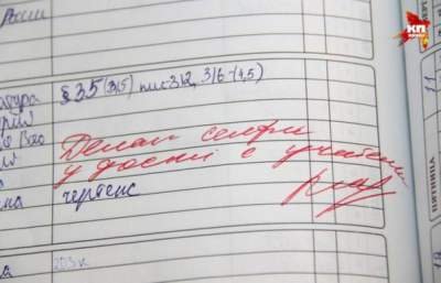 Самые смешные замечания из дневников учеников школы