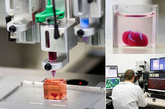Напечатано первое в мире 3D-сердце из клеток человека 3d-печать,3d-сердце,гаджеты,медицина,мир,техника,технологии