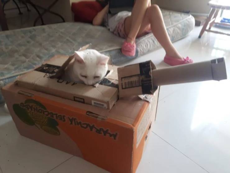 Подборка прикольных картинок  приколы,смешные картинки,юмор