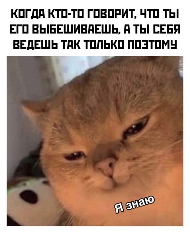 Подборка смешных картинок Подборка смешных картинок приколы,смешные картинки,юмор