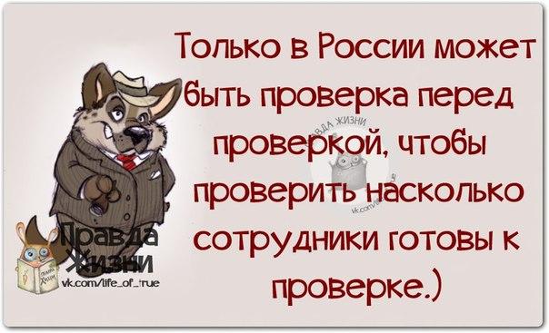 Смешные картинки по проверке, днем рождения