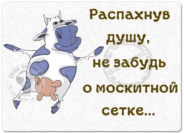 Как поднять настроение. Анекдоты коротыши анекдоты,юмор