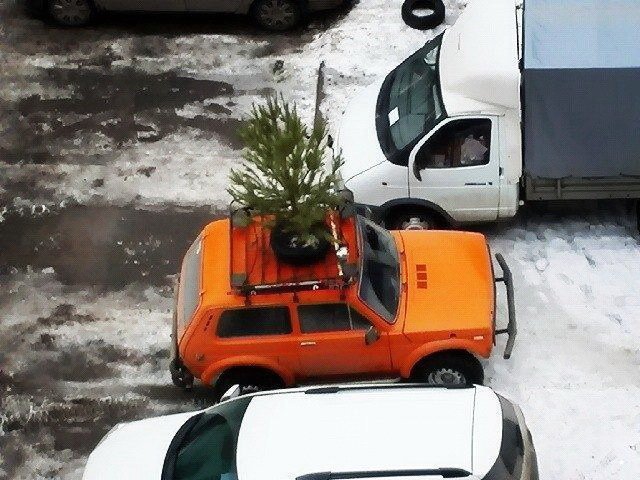 Автовсячина Автовсячина, авто, автомобиль, автоприкол, машина, прикол