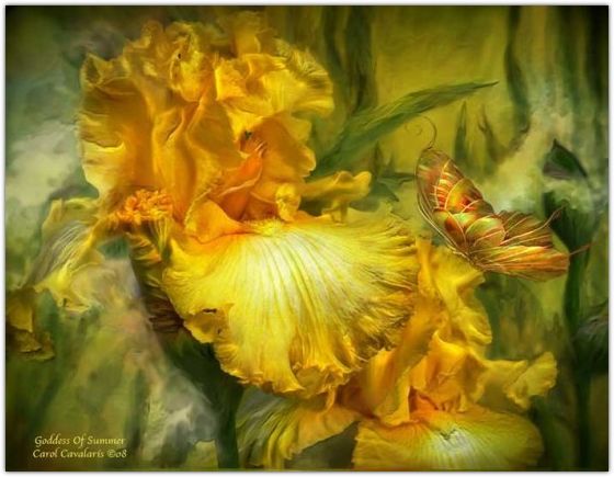 �������� �������� ����� ���������