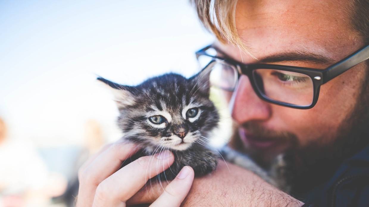 Почти половина россиян тратит на лечение домашних животных около 10 тысяч рублей в год