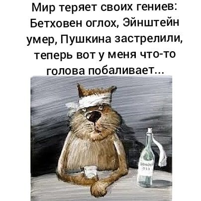 Пришла пора зарядиться позитивом! Подборка зажигательного юмора Пришла пора зарядиться позитивом! Подборка зажигательного юмора