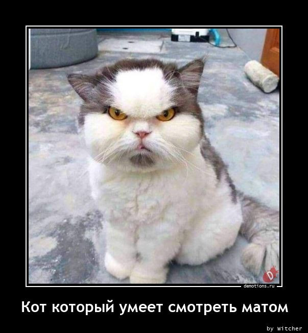 Демотиваторы для всех: «Ну и какая же сегодня погода?» 