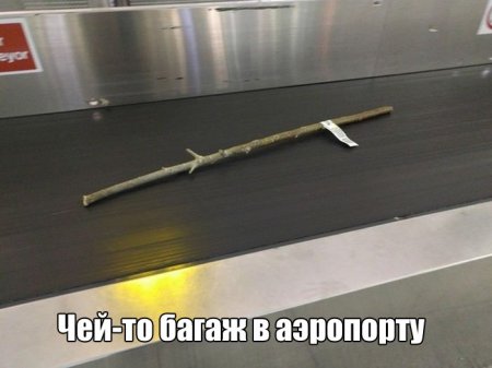 Прикольная фотоподборка (55 фото)