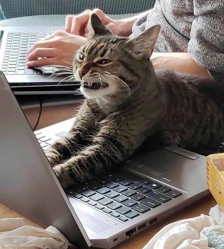 Подборка картинок. Вечерний выпуск  приколы,смешные картинки,юмор