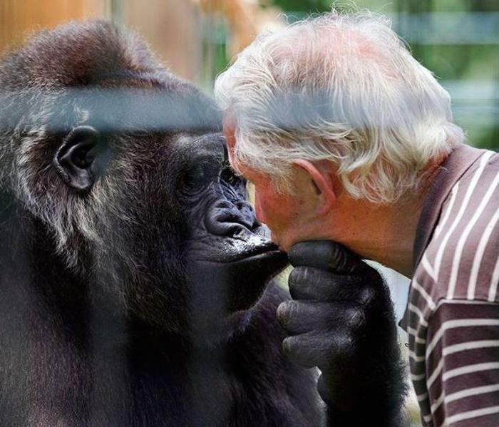 Подборка картинок. Вечерний выпуск (60 фото)