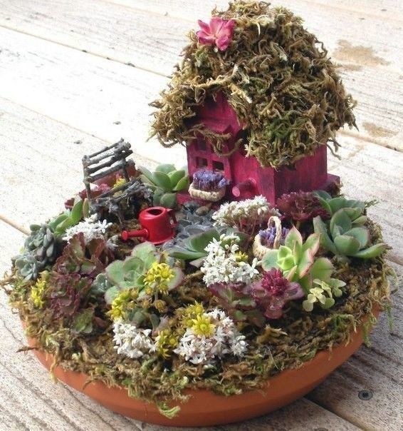 Идеи садов в миниатюре: идеи для творчества декор,идеи и вдохновение
