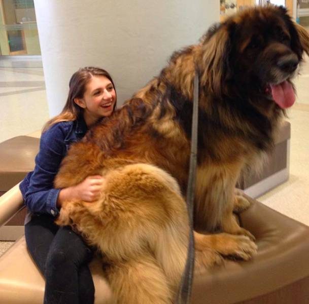 Смехотерапия 