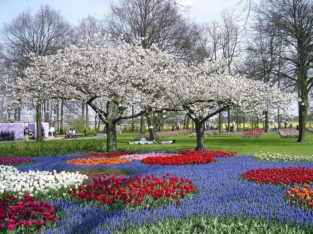 Цветущие парки