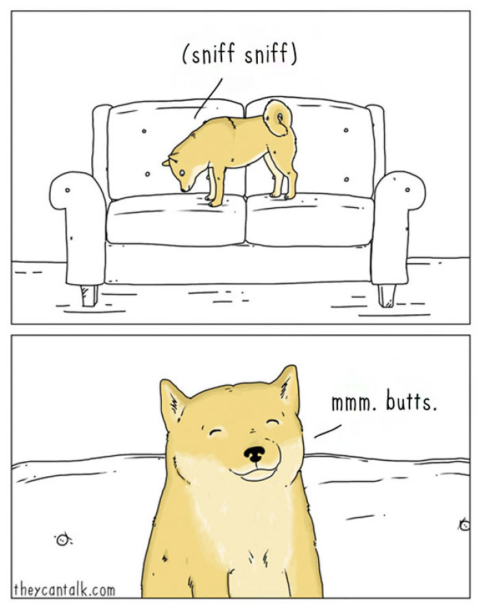 Funny Animal Comics