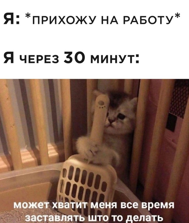 Подборка смешных картинок Подборка смешных картинок приколы,смешные картинки,юмор
