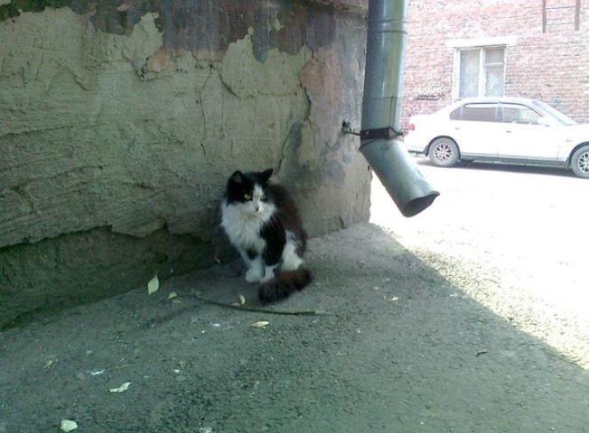 Спасительный адрес